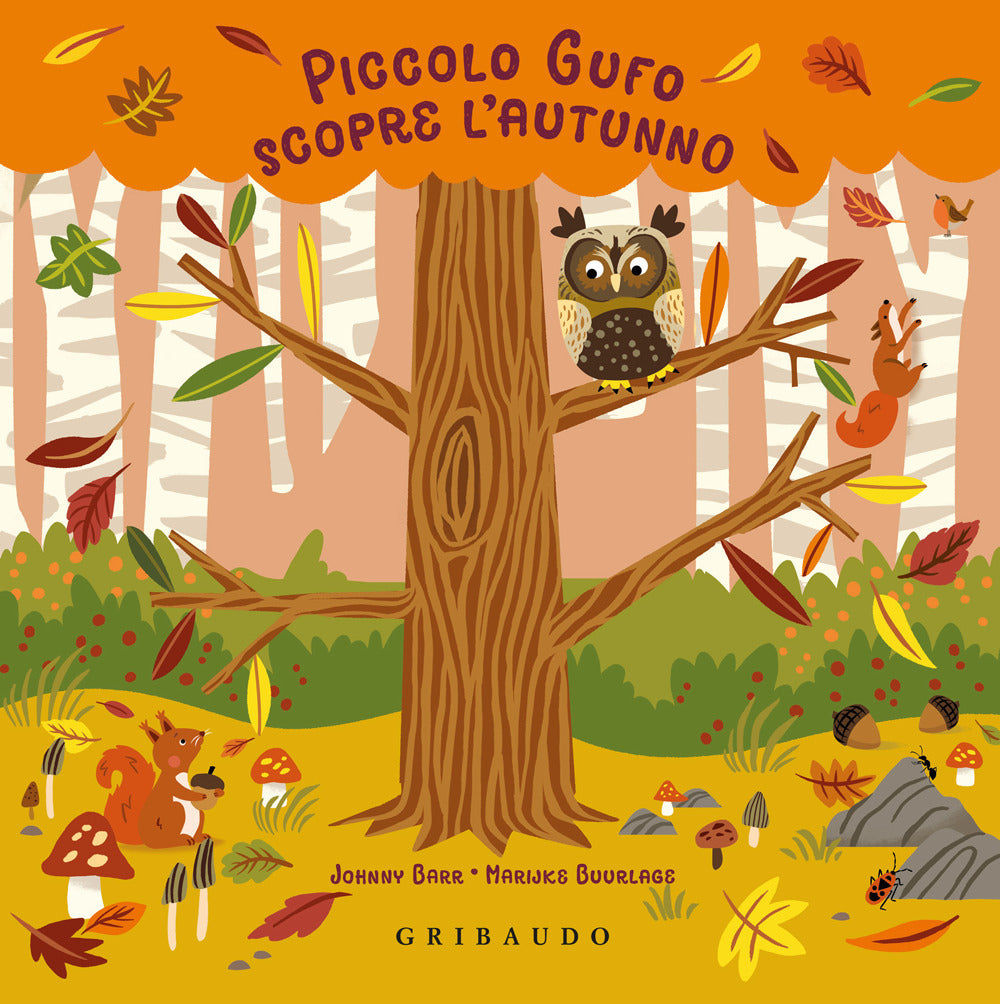 Piccolo Gufo scopre l'autunno