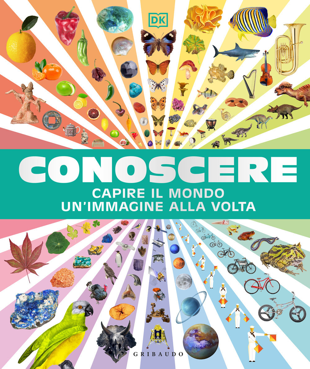 Conoscere. Capire il mondo un'immagine alla volta