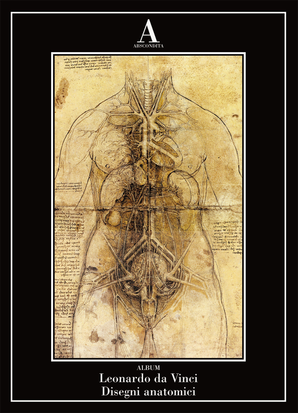 Disegni anatomici