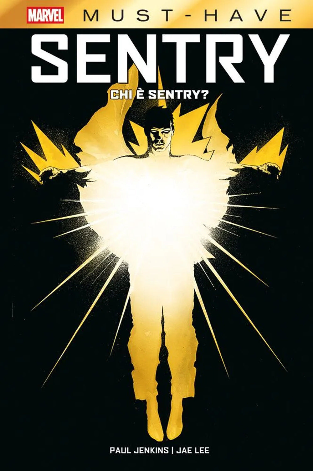 Chi è Sentry? Sentry