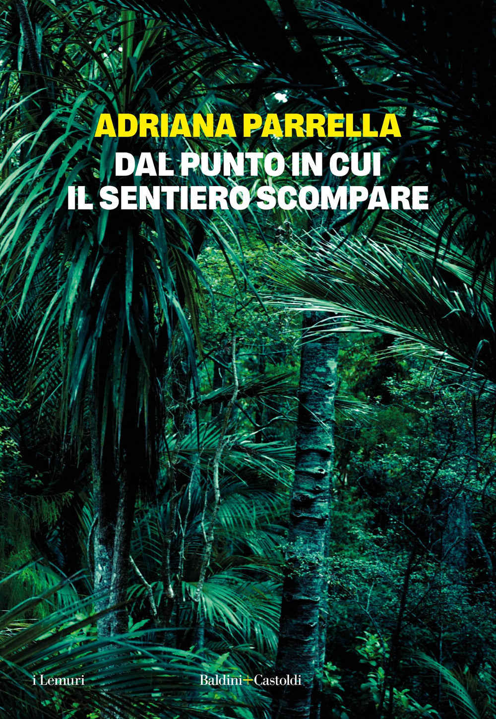 Dal punto in cui il sentiero scompare