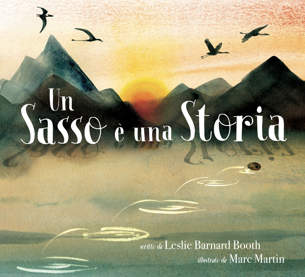 Un sasso è una storia