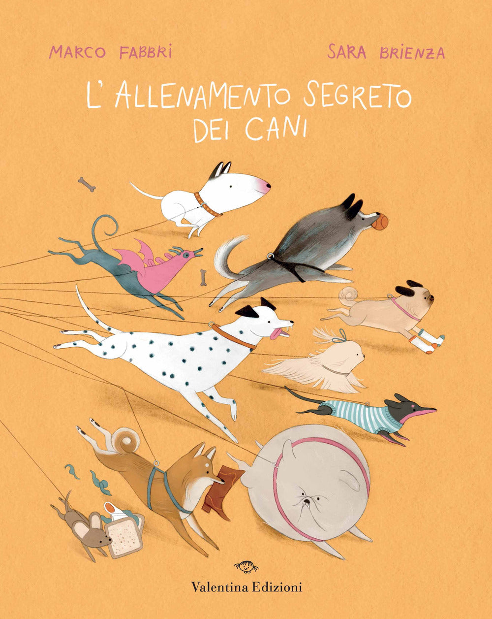 L'allenamento segreto dei cani