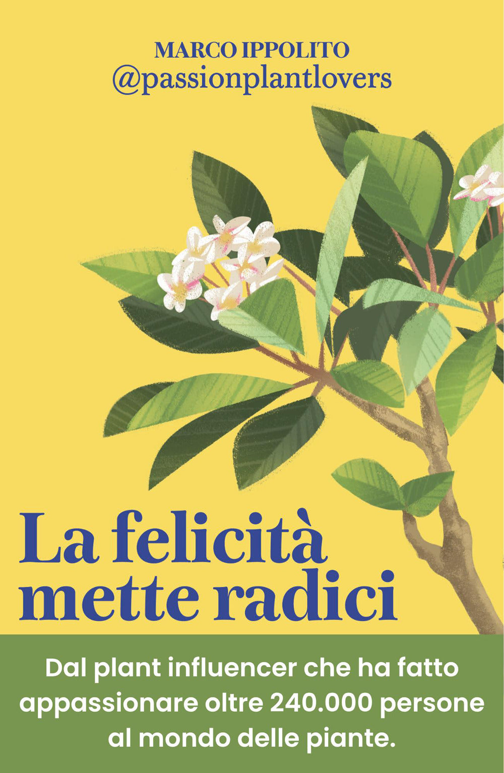 La felicità mette radici. Prenditi cura delle piante per prenderti cura di te