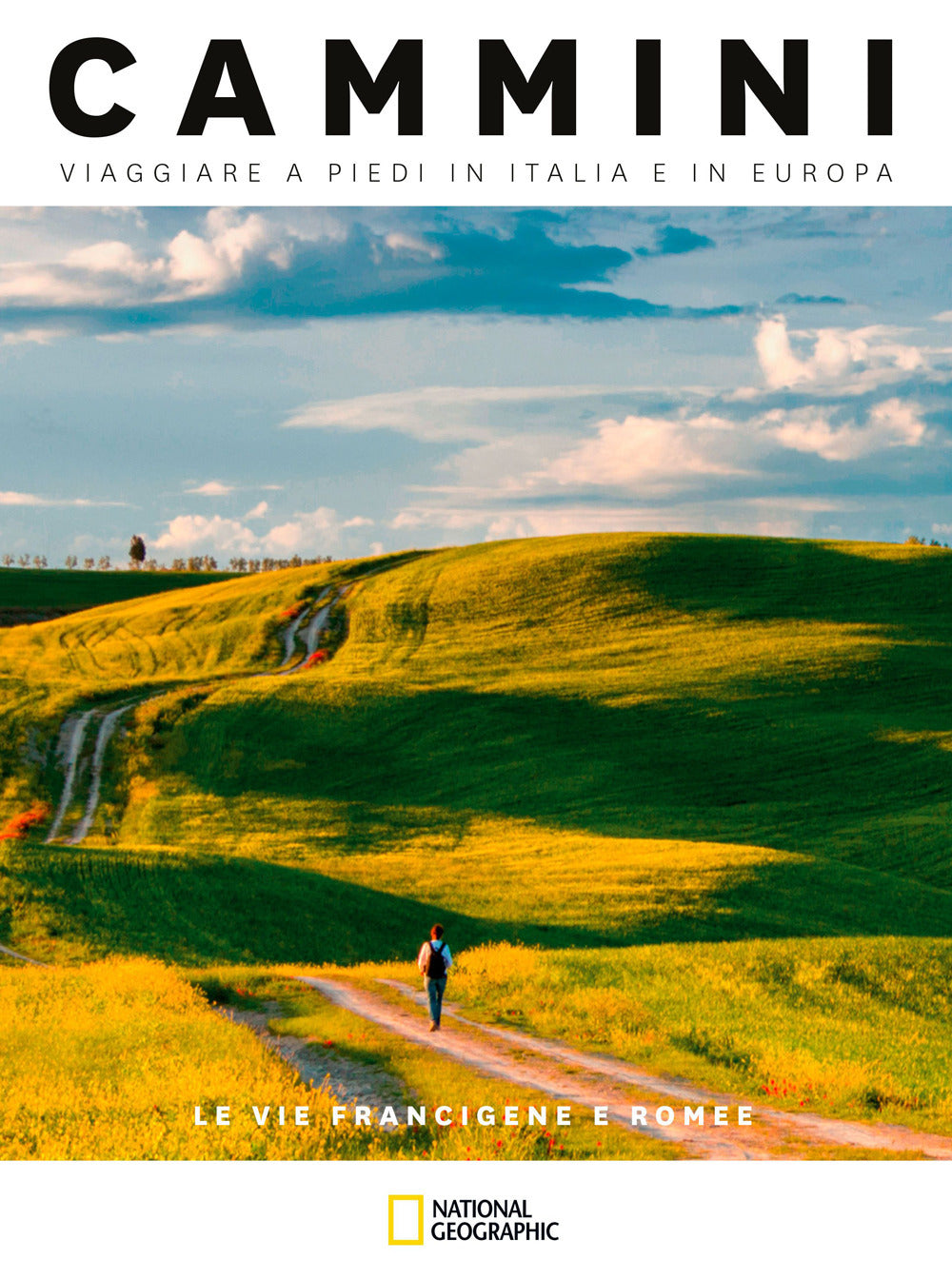 Le vie francigene e romee. Cammini, viaggiare a piedi in Italia e in Europa.
