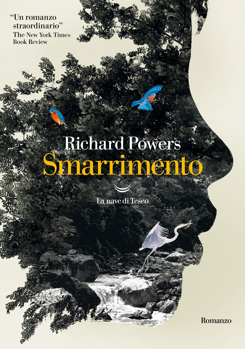Smarrimento.