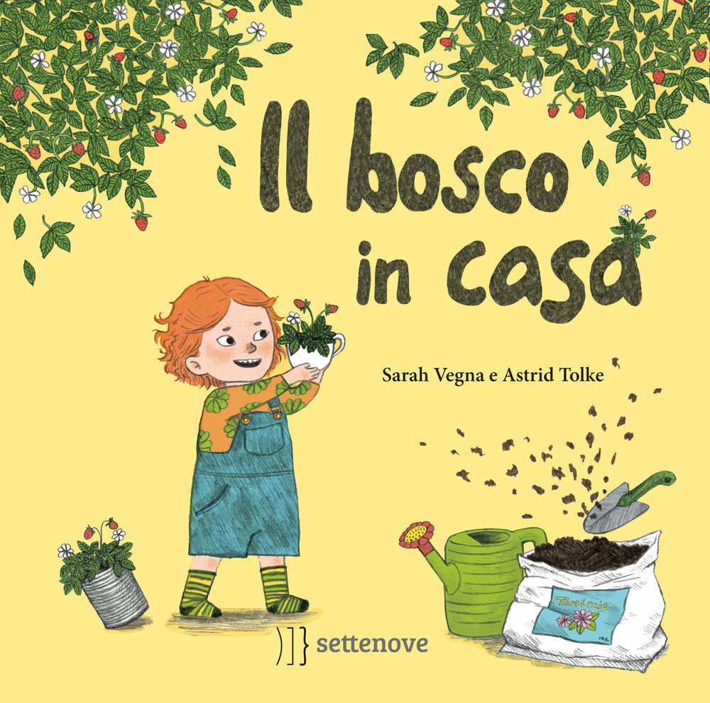 Il bosco in casa. Ediz. a colori.