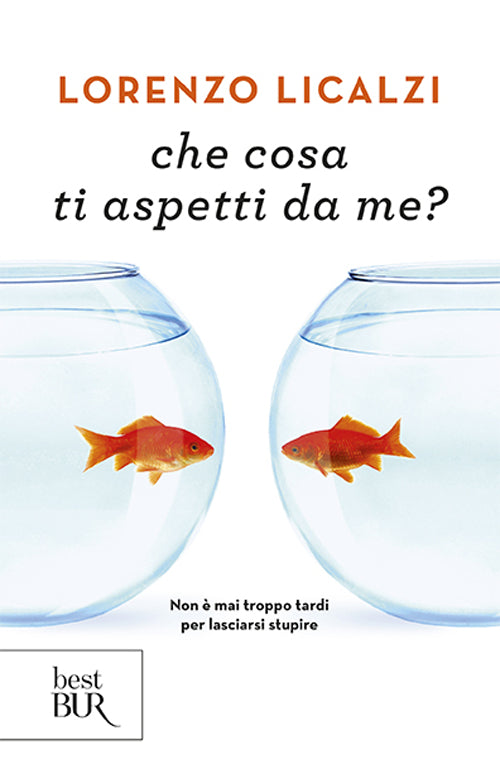 Che cosa ti aspetti da me?.