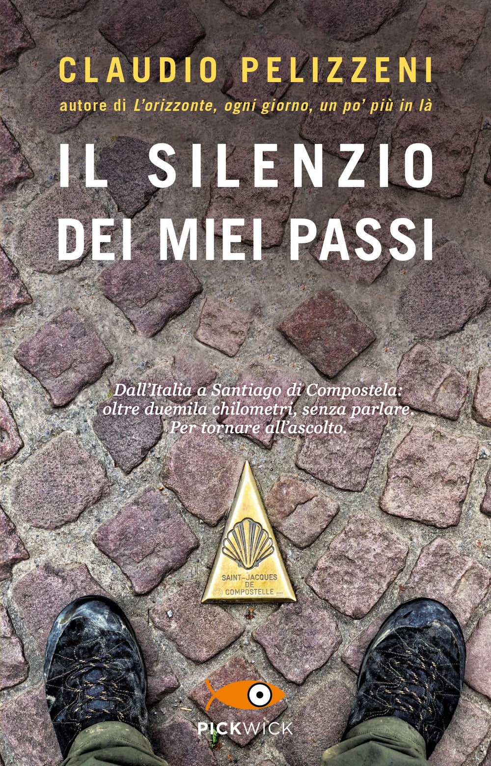 Il silenzio dei miei passi.