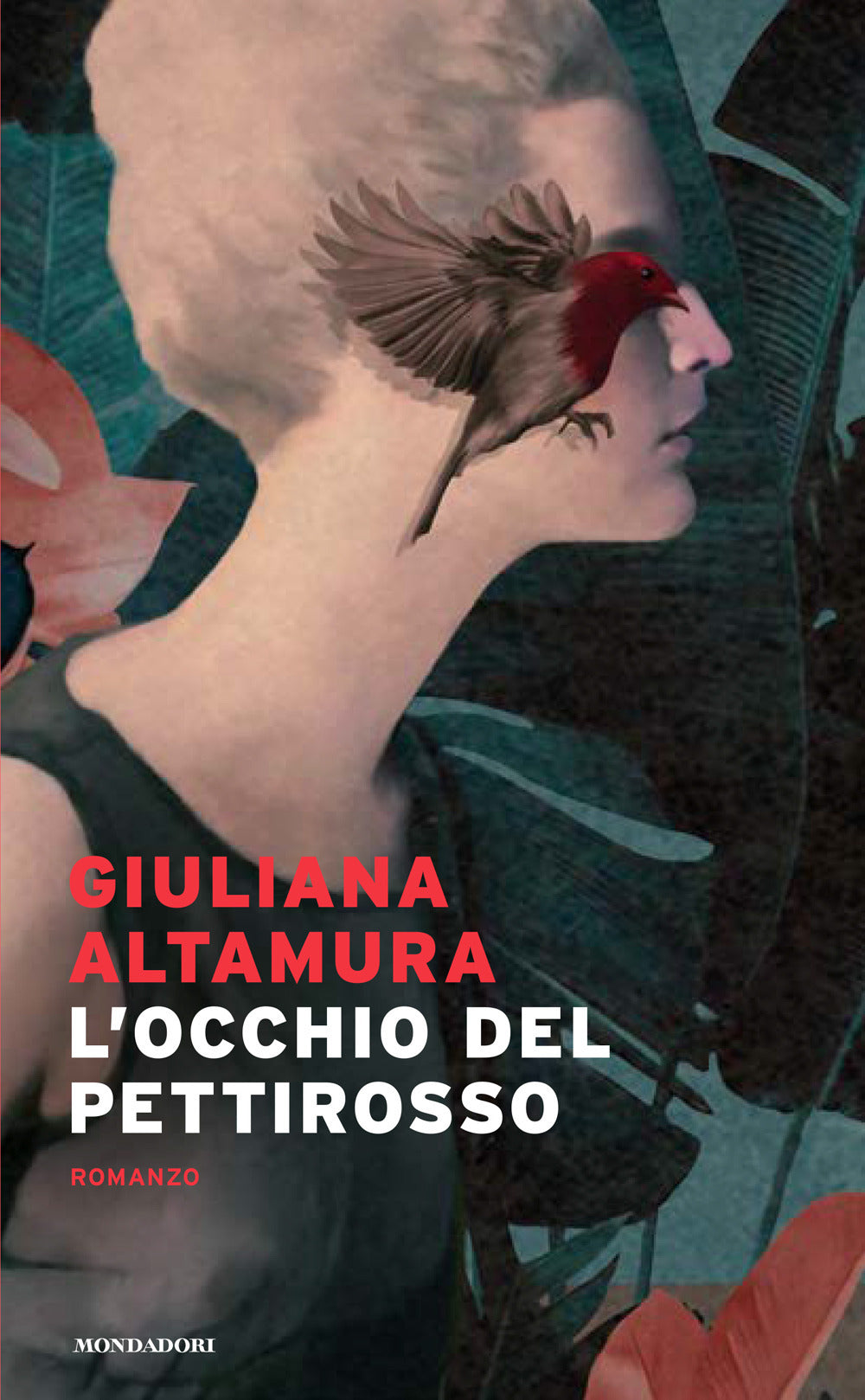 L'occhio del pettirosso.