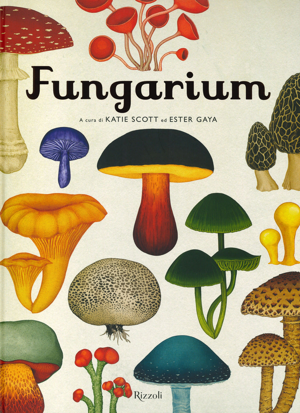 Fungarium. Ediz. a colori.