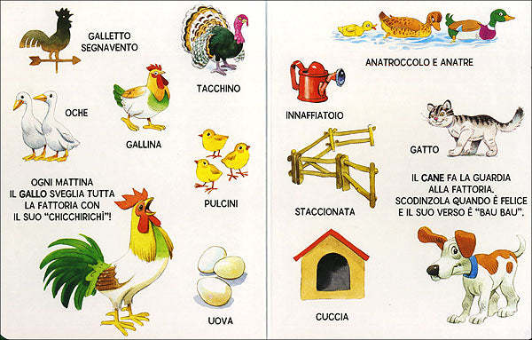 Fattoria