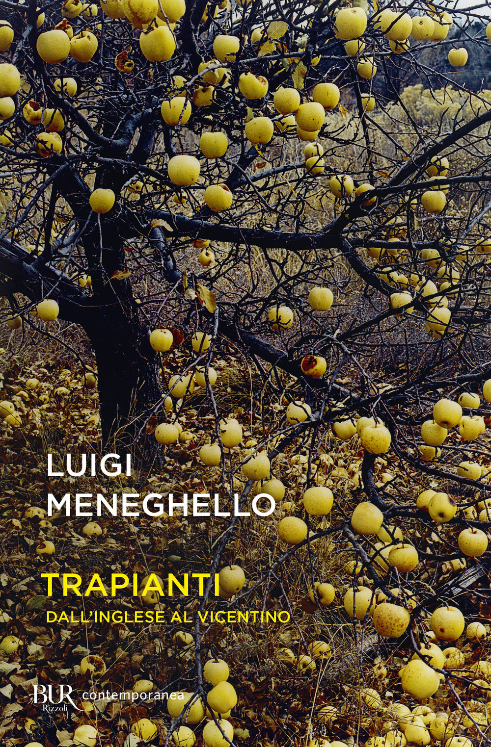 Trapianti. Dall'inglese al vicentino.