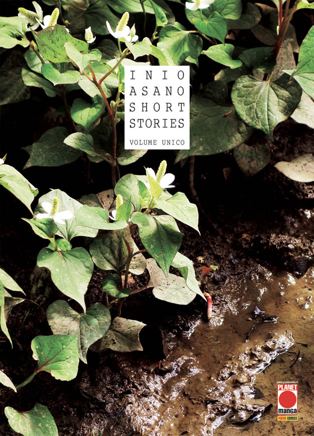 Short stories.