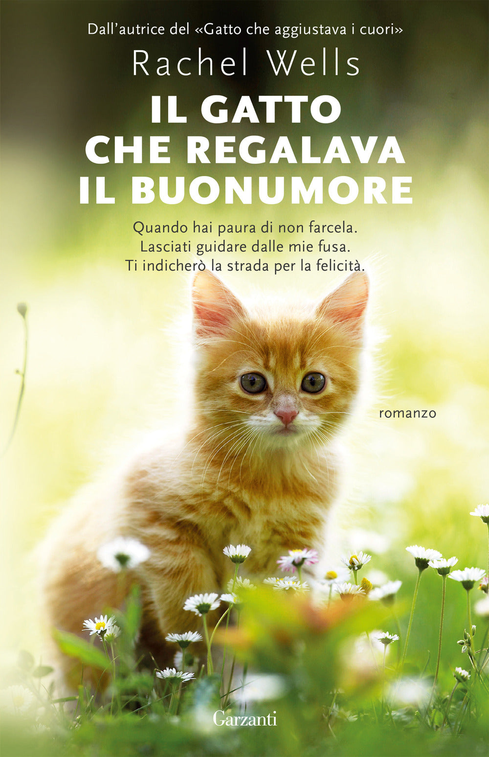 Il gatto che regalava il buonumore.