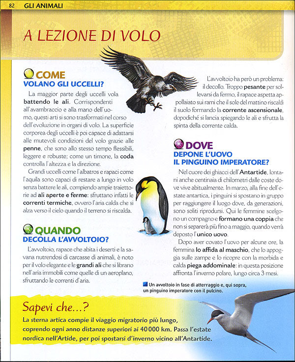 Il grande libro del Come Dove Quando?
