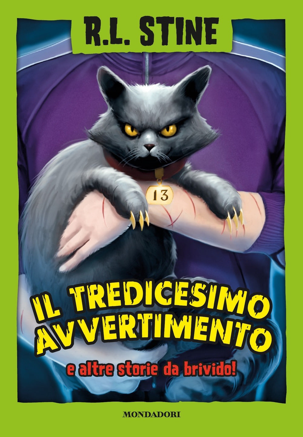 Il tredicesimo avvertimento e altre storie da brivido.