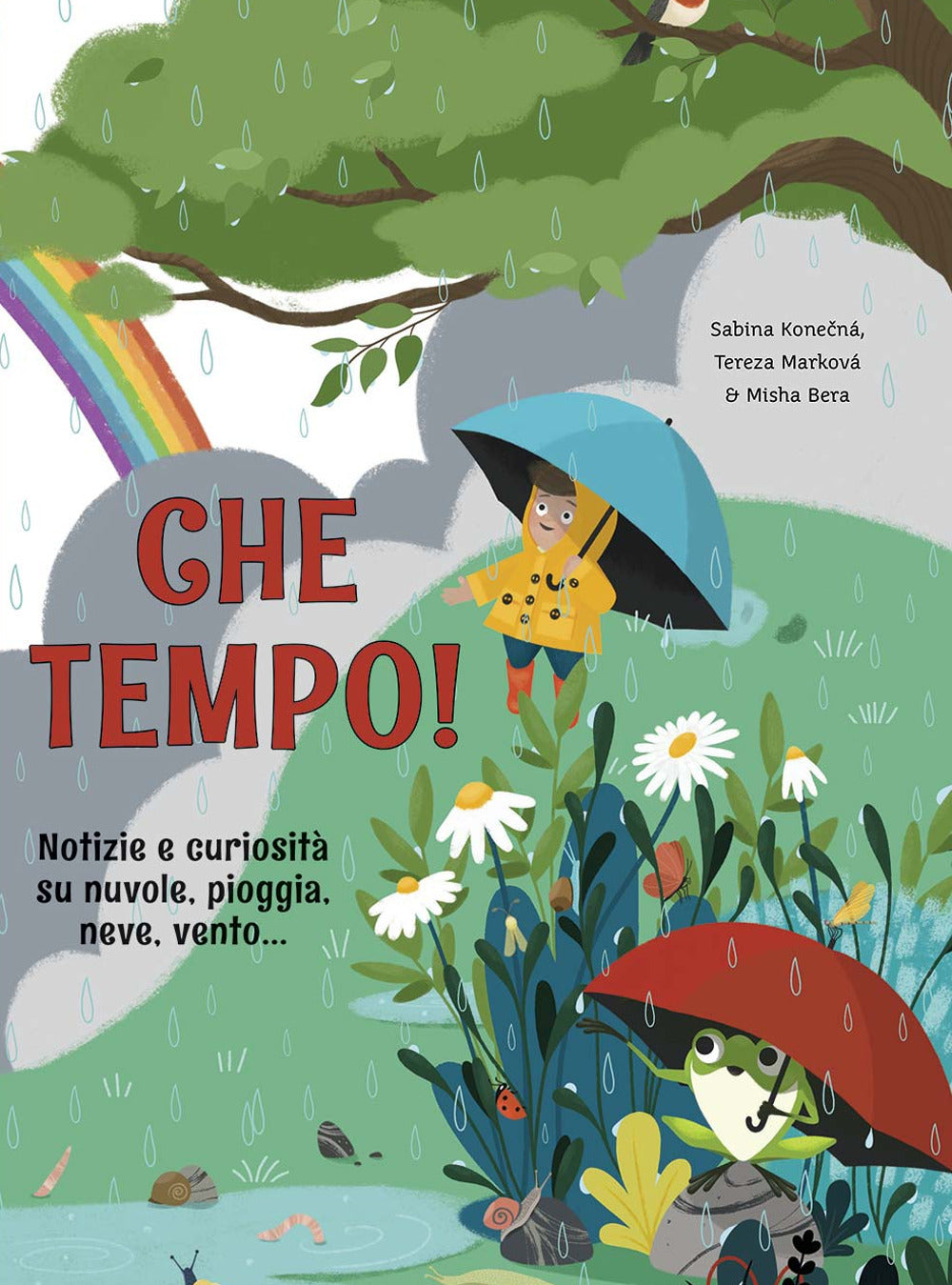 Che tempo! Notizie e curiosità su nuvole, pioggia, neve, vento....