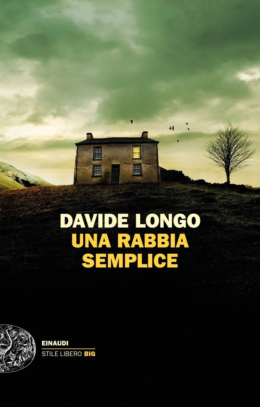 Una rabbia semplice.