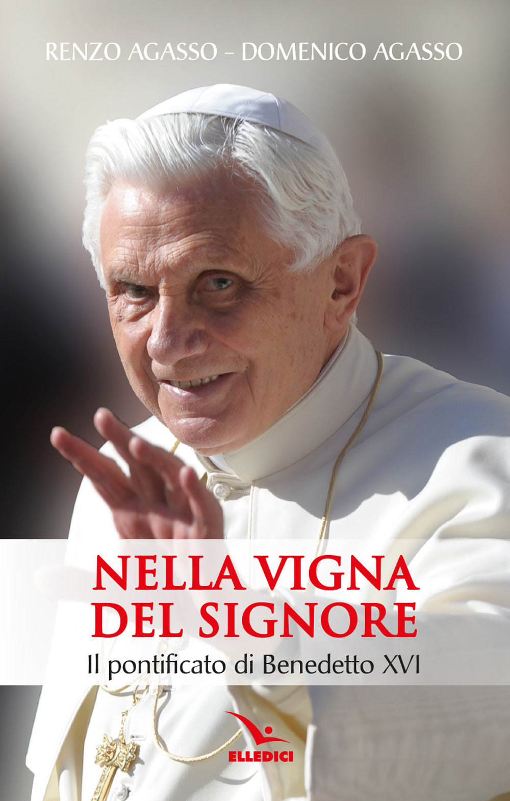 Nella vigna del Signore. Il pontificato di Benedetto XVI