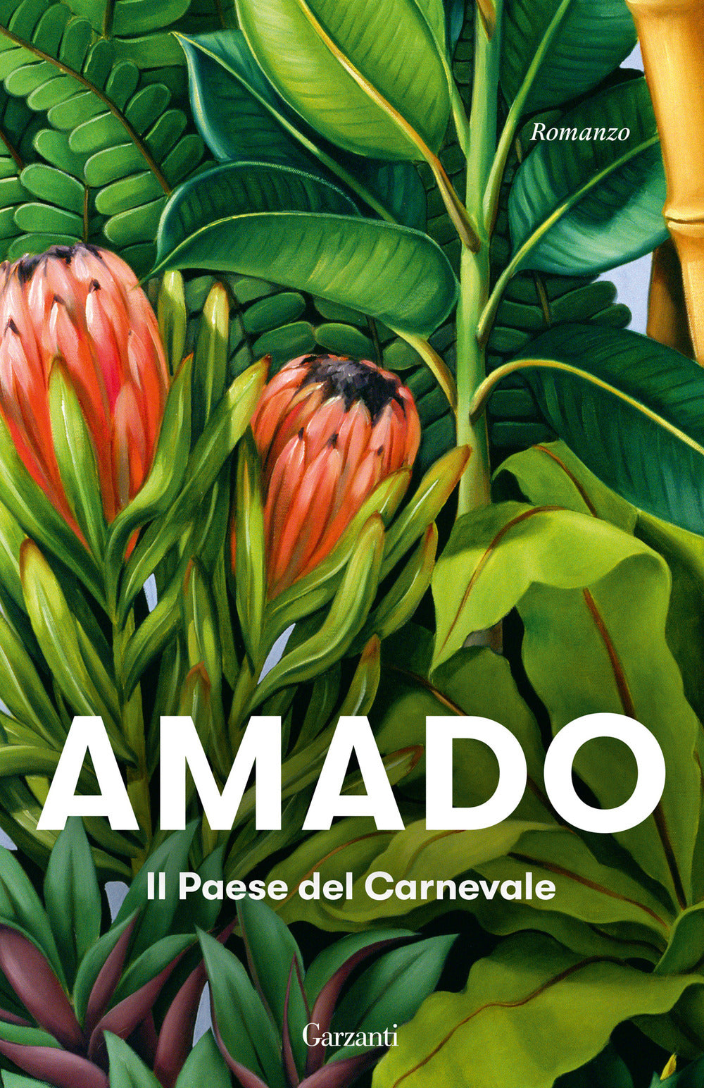 Il paese del carnevale.