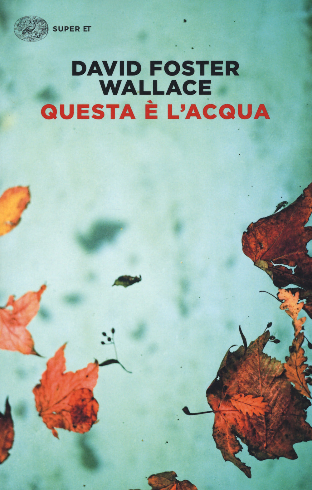 Questa è l'acqua.