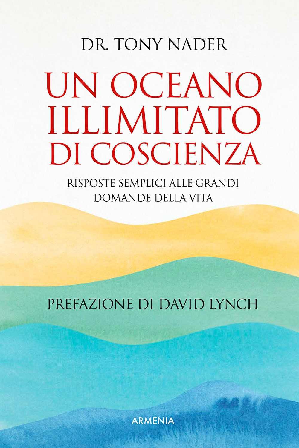 Un oceano illimitato di coscienza. Risposte semplici alle grandi domande della vita.