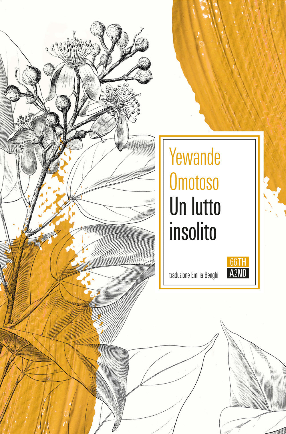 Un lutto insolito.