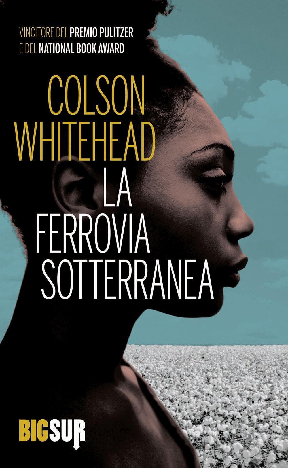 La ferrovia sotterranea.