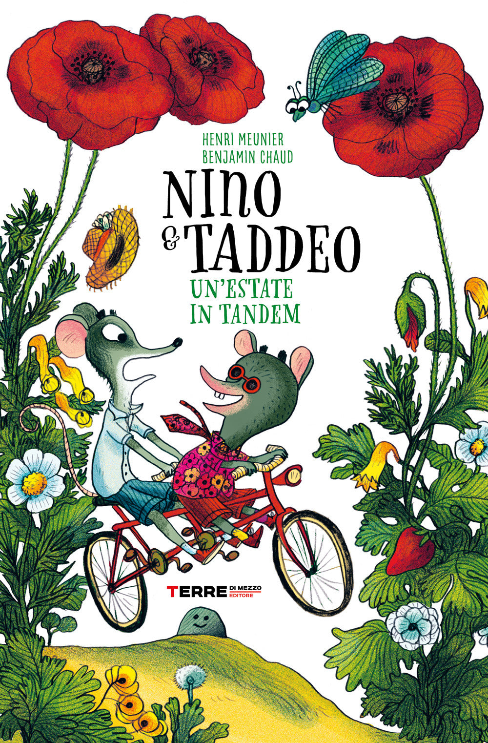 Nino & Taddeo. Un'estate in tandem. Ediz. a colori.
