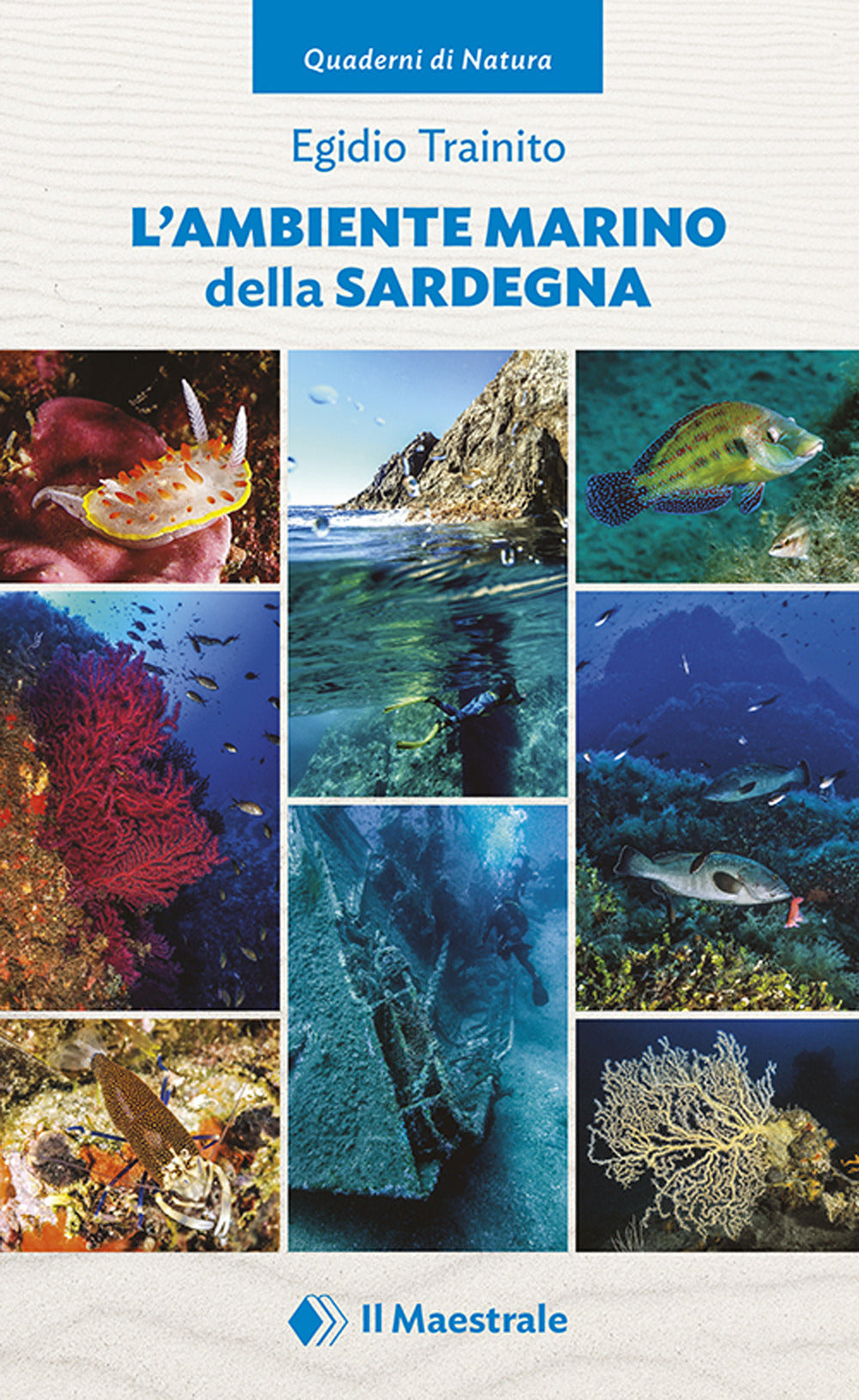 L'ambiente marino della Sardegna. Ediz. illustrata. Vol. 1.